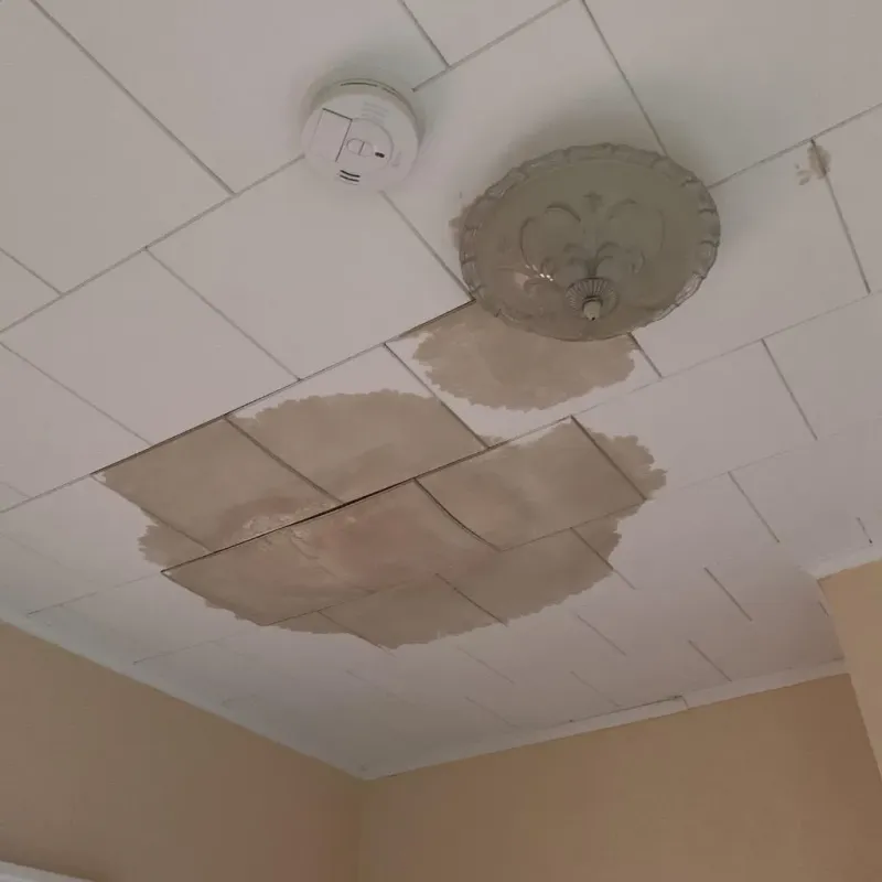Ceiling Water Damage Repair in Erie County, NY