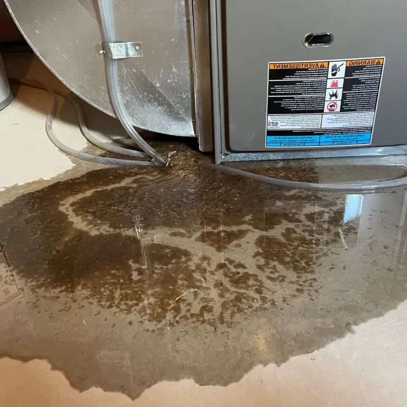 Pipe Burst and Leak Restoration in Erie County, NY