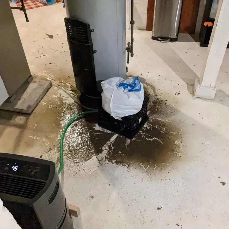 Sewage Backup Cleanup Service in Erie County, NY